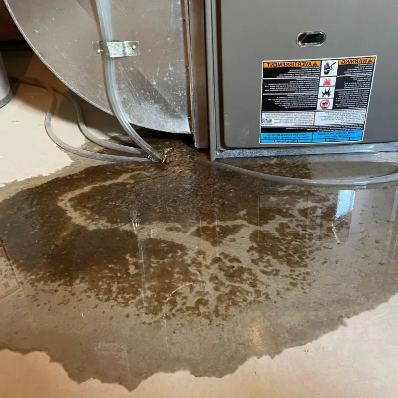Pipe Burst and Leak Restoration in Newburyport, MA