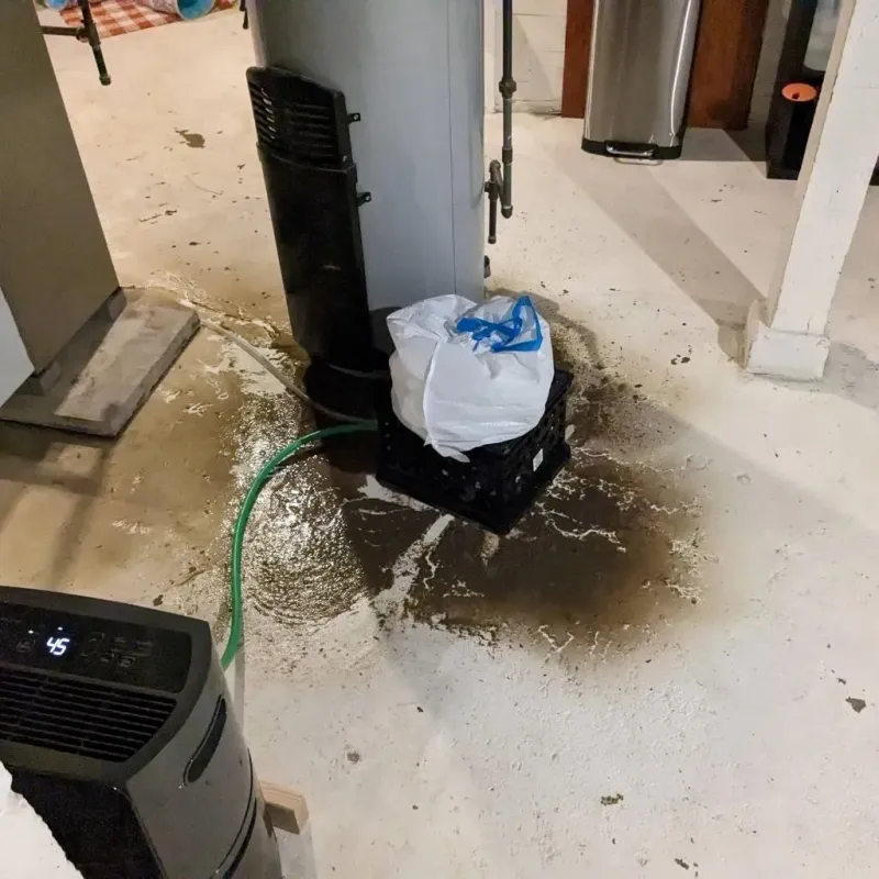 Sewage Backup Cleanup Service in Newburyport, MA